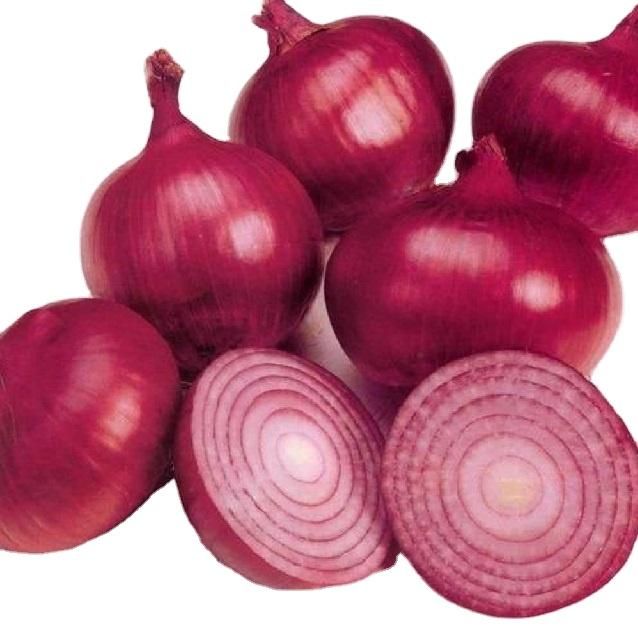 Best Selling And High Quality Wonderful Delicious Fresh Vegetable Red Onion at Wholesale Prices for Worldwide Export From India – product photo 3, product detail gallery