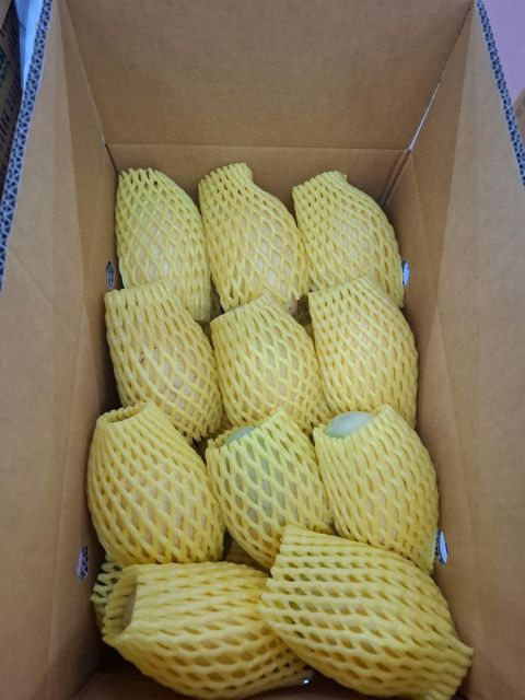 Thai mango - Image 2