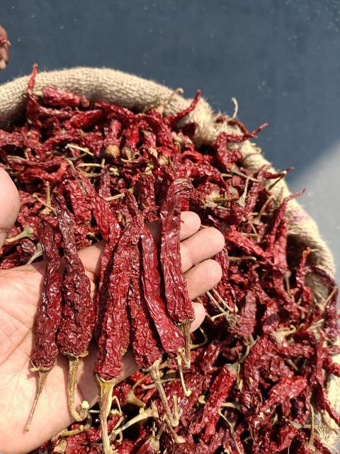 Premium Indian Dry Red Chillies – Whole, Sun-Dried, Export Quality, Food Grade, Various Sizes - Image 2