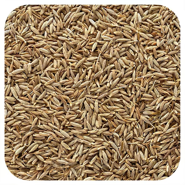 Cumin Seeds (Jeera) - Image 1