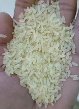 IR64 PARBOILED RICE - Image 3