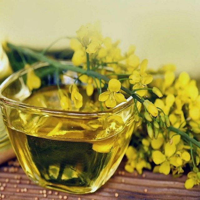 High Quality 100% Purity Refined Canola Oil Excellent Grade Cooking Use 2 Year Shelf Life Normal Temperature Storage - Image 5