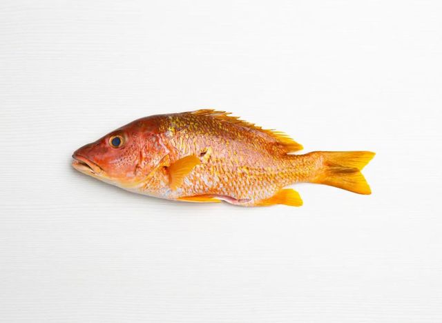 Premium Quality Frozen Pargo Fish available now Order online and enjoy fast delivery for top taste and freshness - Image 4