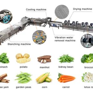 Durable Strawberry Washing Machine Fruit and Vegetable Processing Production Line - Image 6