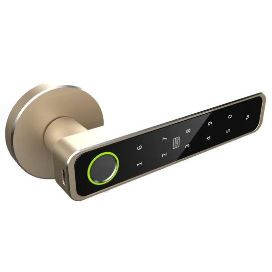 Ttlock APP Password Card Fingerprint Keyless Smart Electronic Biometric Handle Door Lock - Image 3