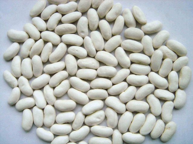 Best Organic White Kidney Beans Large Size Freeze-Dried 25kg Vacuum Pack New Crop Promotion - Image 4