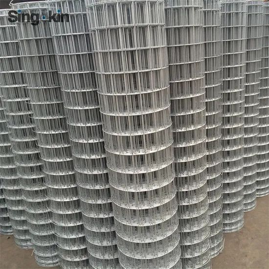 Best Selling Galvanized/Stainless Steel Square Welded Wire Mesh Aviary Mesh - Image 6