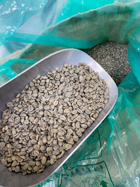 Fresh Supply Green Coffee Arabica Suitable For Coffee Roasting Espresso Production Filter Brewing And Specialty Blends - Image 3