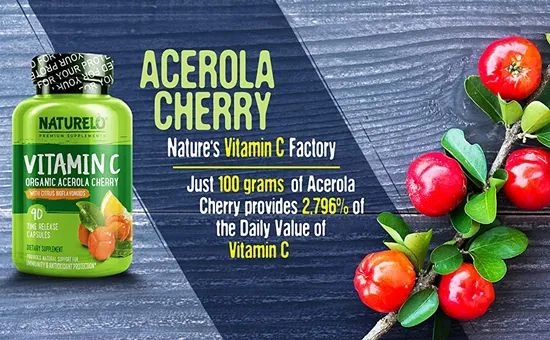 High Quality Acerola Cherry Extract Powder 25% Vitamin C CAS No / Variety / Form Soild State Powder Origin China Packaging - Image 6