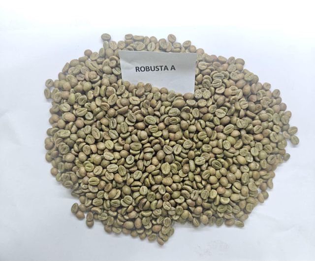Green Coffee Bean – product photo 3, product detail gallery
