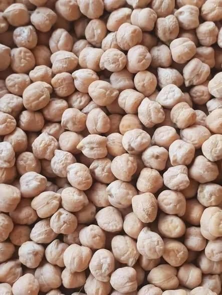 Wholesale Raw Chickpeas Dried Desi Chickpeas White Chick Pea Beans Kabuli for sale at whole sale prices – product photo 4, product detail gallery