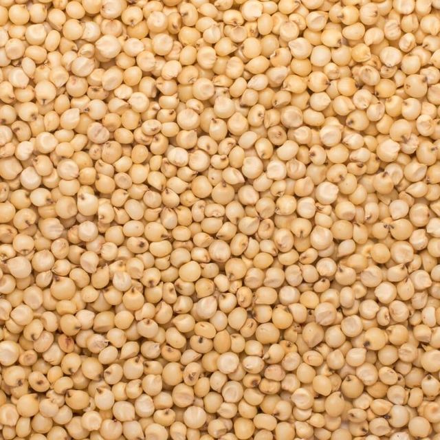 Dried Sorghum Grain For Food Processing Enterprises Requiring Stable Raw Material Availability And Quality - Image 5