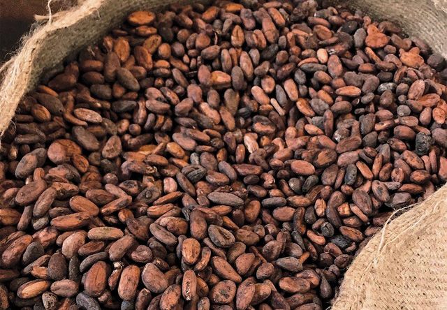 Cocoa Beans – product photo 1, product detail gallery