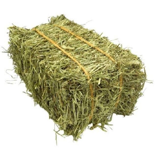 Hot Selling Custom Made Timothy Hay Best Quality Grade Fast Shipping Wholesale Alfalfa Hay Bag Cheap for Horse - Image 4