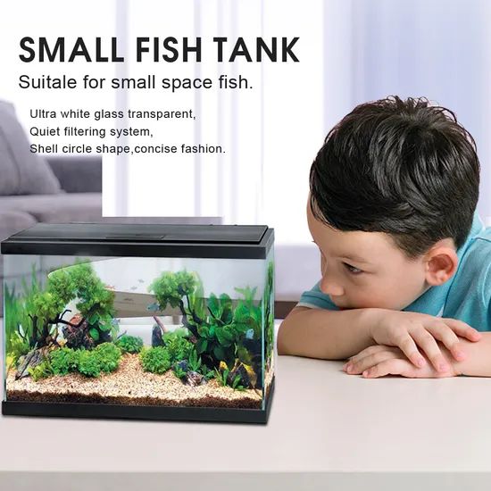 Mini Plastic Rectangular Fish Tank Desktop Landscape Ecological Aquarium Ornamental Small Fishbowl Desktop Self-Circulation - Image 3