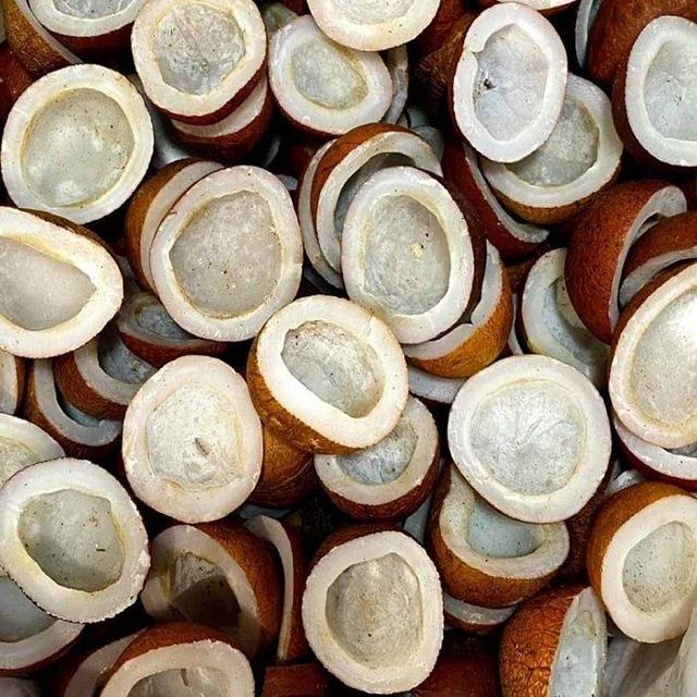 Premium Organic Dried Copra Shell Kernel AD Processed Bulk Vacuum Pack High Quality Copra - Image 4