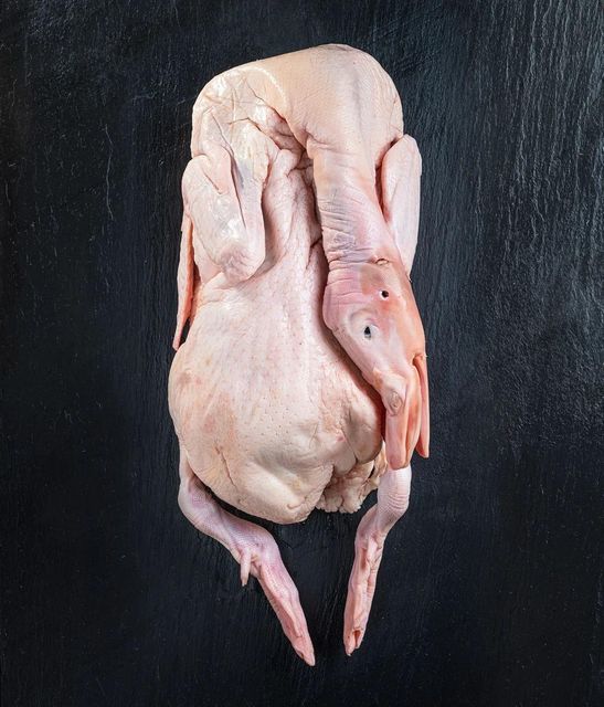 Farm Fresh Frozen Whole Duck Excellent Taste Wholesale Price For Hotels Restaurants Catering And Family Kitchen Needs - Image 4