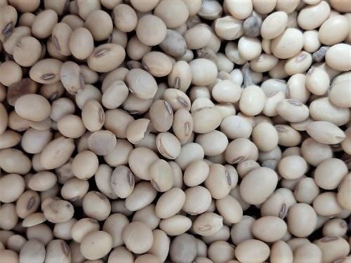Organic/bio Soy Beans - Image 1
