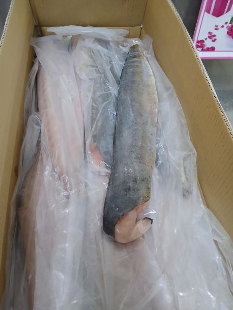 MAHI MAHI -FILLET and PORTION - Image 4