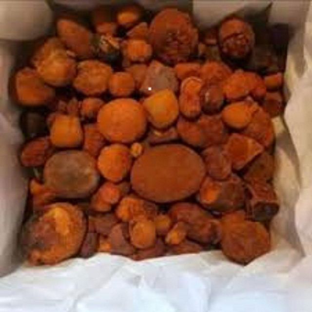 Hot Sale Cow Ox Gallstone Natural Dried Bovine Gallstone Premium Quality for Herbal Medicine and Pharmaceutical Industry - Image 1