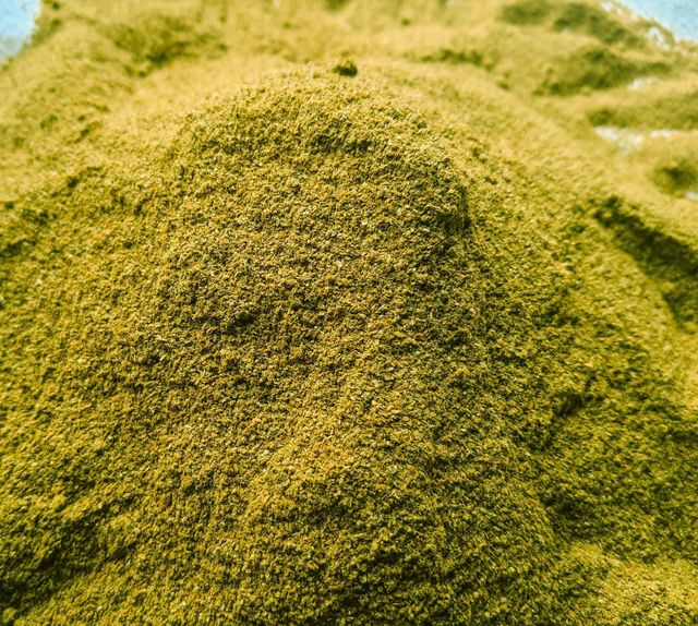 Green Chilli Powder – Premium Dehydrated, Fine Grade - Image 2