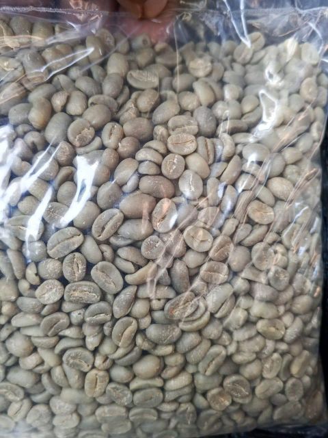 WASHED ARABICA BUGISU AA - Image 1