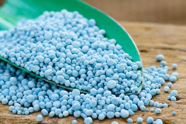 Premium Organic & Chemical Fertilizers NPK Urea DAP Potash Bio Fertilizer Granules Powder for Agriculture Use - Image 1