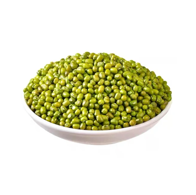 Green Mung Beans / Vigna Mung Beans Premium Quality Conventional Natural Mung Beans Green - Image 2