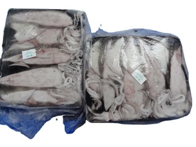 SQUID CUTTLEFISH OCTOPUS WHOLE CLEANED FROZEN SEAFOOD PRODUCT - Image 2
