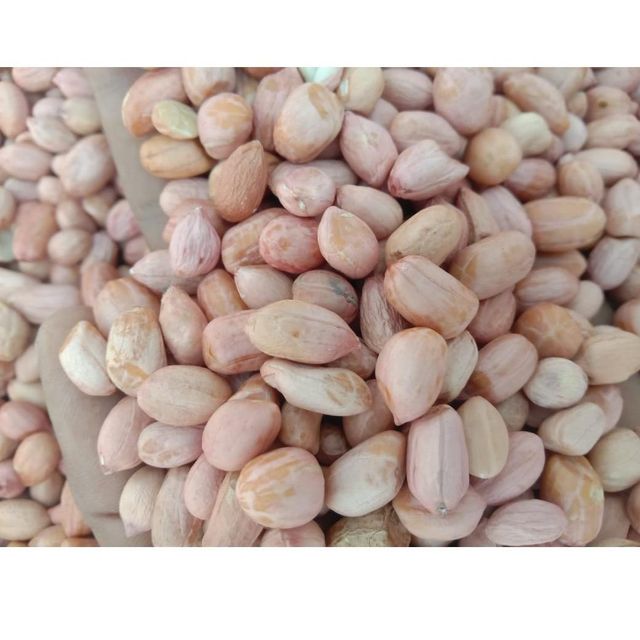 KACANG TANAH KERNELS GROUND NUT PEANUT FRESH ORGANIC PEANUT BUTTER PEANUT OFFER CHEAP PRICE - Image 1
