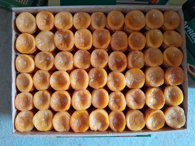 dried apricot Packaging box Texture Chewy Type dried apricot Color Vibrant Orange Flavor Natural Sweet Manufacturer Uzbekistan - Image 4