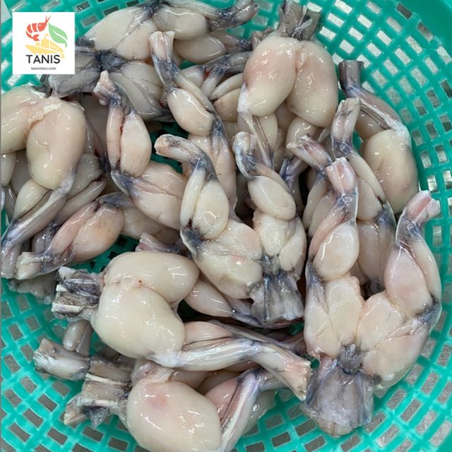 NEW SEASON Frozen Frog Legs from Vietnam bulk packing / vacuum bag Gap KOSHER certificate - Image 3