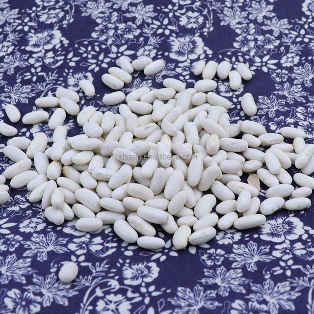 Wholesale Dried Organic Long Shape Bulk White Kidney Bean Butter Beans - Image 5