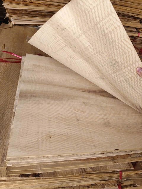Ecalyptus Veneer Grade A 10% B – product photo 4, product detail gallery