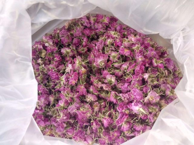 Dried rose flowers Type Organic Shelf Life 2 years Scent Gentle Floral Scent Source Organic, Unsprayed Roses Application Internal And External Use - Image 3