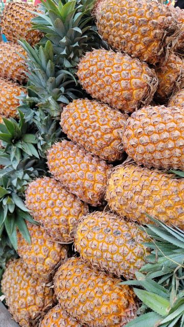 Fresh Pineapple Grade A (Simplex) – product photo 1, product detail gallery