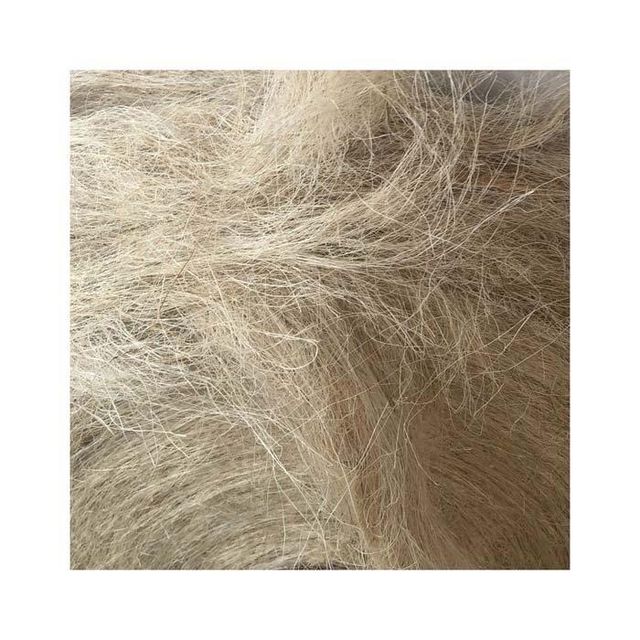 Sisal Fiber in Length 100~130cm for Gypsum / Plaster / Paper China Origin - Image 3