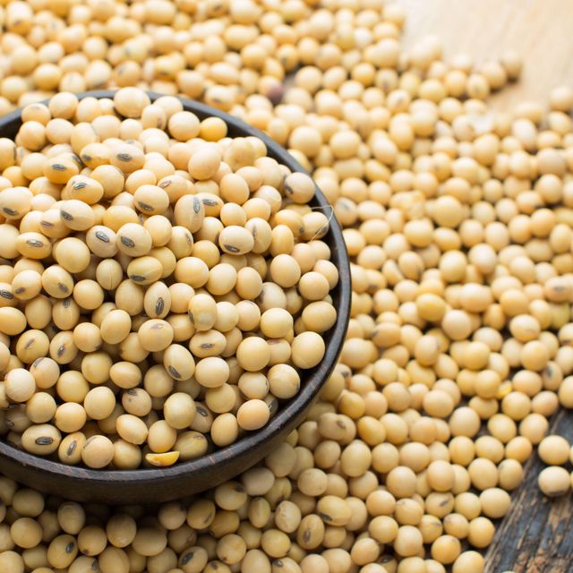 Disease Resistant Soybean Seed Robust And Healthy Soybean Seed Ensuring Stable Yields And Farm Profitability - Image 3