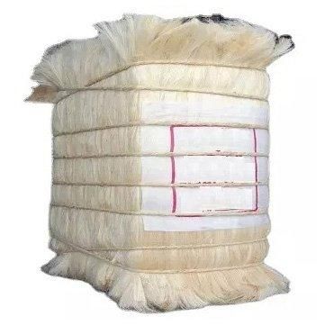 natural sisal fiber in perfect quality for sisal cloth - Image 4