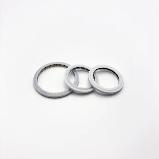 Excellent Sealing Performance Diverse Materials Simple Structure Laser Sealing Ring - Image 4