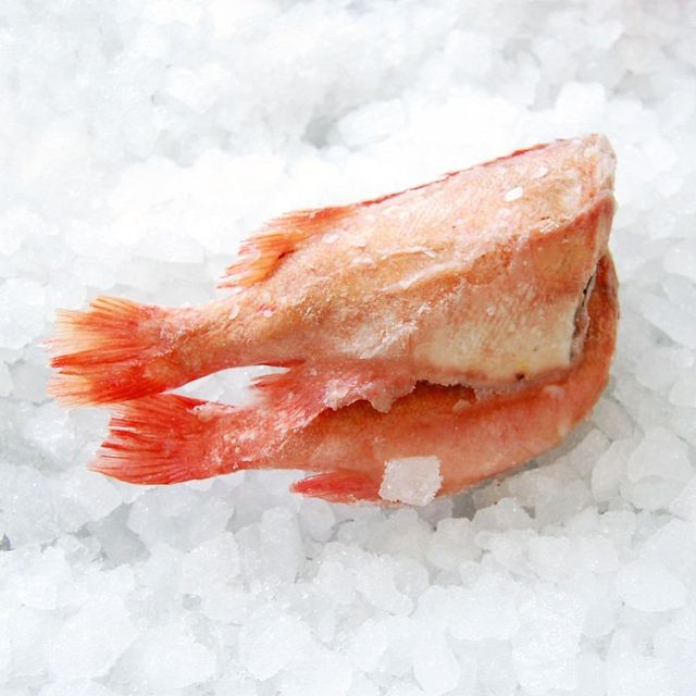 Frozen Redfish Red Drum Whole Fillet Steak Gutted Scaled IQF Seafood Export for Retail Wholesale - Image 3