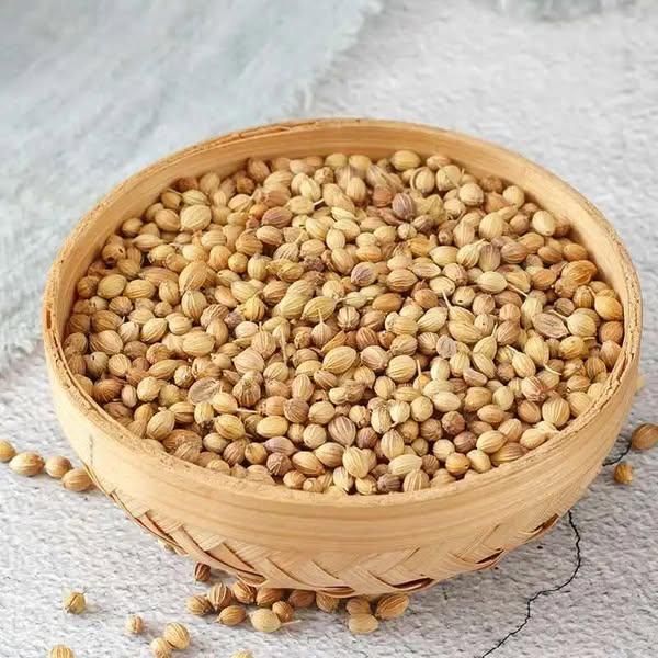 Top Grade Pure and Organic Coriander Seeds Dried Coriander Seeds Herbs and Spices at Best Price From Tanzania - Image 5