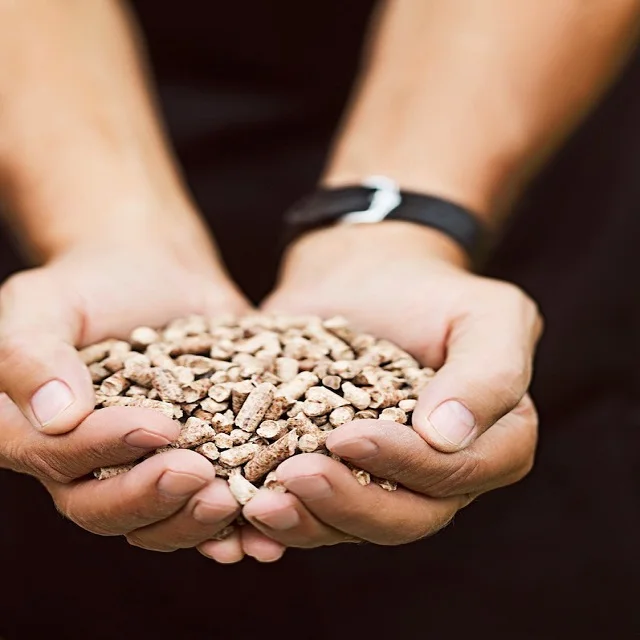 Premium Quality Bio Wood Pellets for Heating Systems Pine & Beech 15kg Bags Stick Shape 6% Moisture 10% Ash 4500J - Image 3