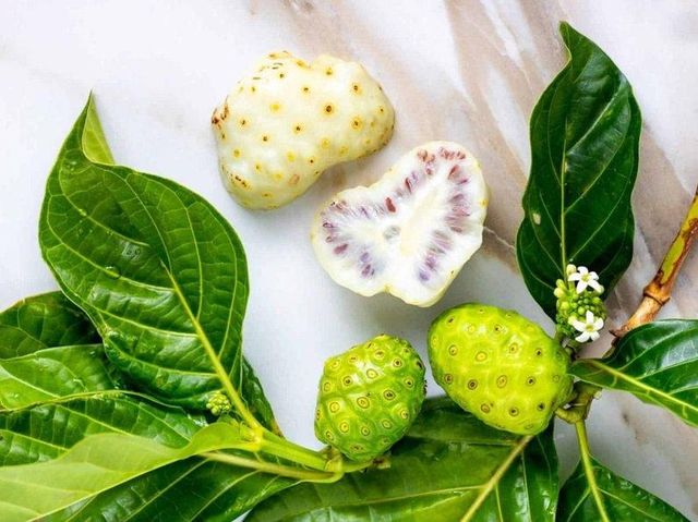 NONI JUICE + NONI POWER  Address Việt Nam Drying Process NONI Packaging Plastic bags or plastic - Image 4