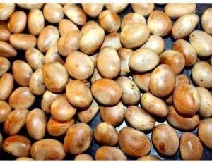 Jackfruit Seeds – Nutritious, Protein-Rich Superfood | Natural Snack & Flour - Image 5