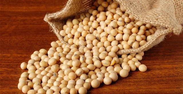Fresh Soybeans Clean Dry Beans With High Nutrition Value Buy Fast Delivery Premium Quality Wholesale Naturally Natural Nutrition And Clean Processing Buy Fast Delivery Premium Quality Wholesale Naturally Suitable For Industry - Image 4