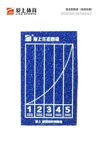 Preferred Brand Shock Absorbent Rubber Running Track for Key Universities - Image 6