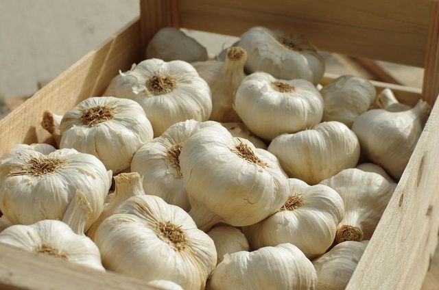 Fresh Chinese White Garlic 4.5–6.5cm – Bulk Premium Cooking Garlic - Image 2