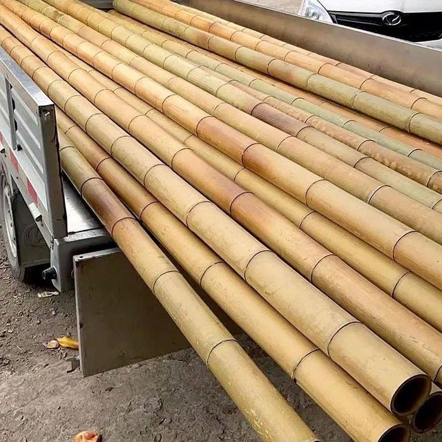 Premium Quality Eco-Friendly Bamboo Raw Materials Free Tax Directly from Viet Nam - Image 3