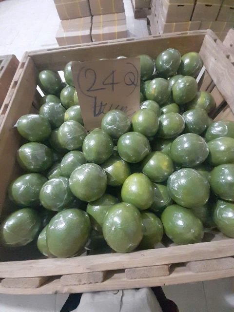 Vietnamese Pomelo FRESH/ FROZEN WHOLE AND MEAT Color Green Fruit Type Pomelo Sourness Not Sour Brix Level 9.5–12% Grade Special, A, B - Image 4